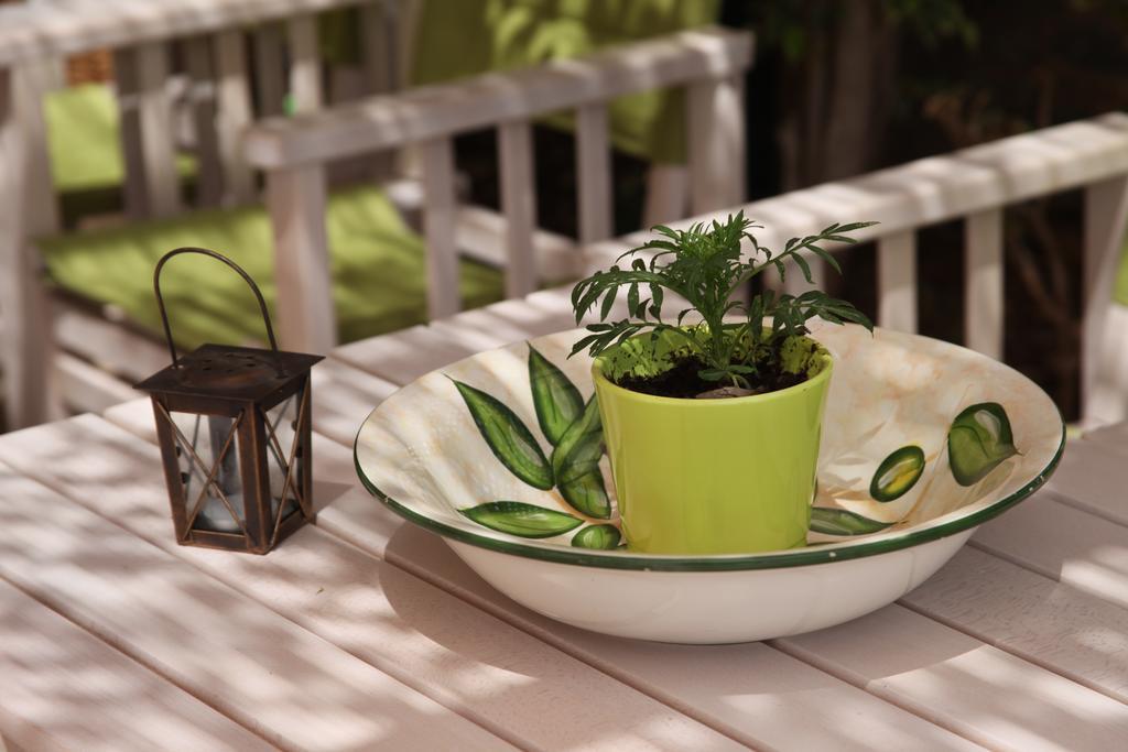 Elounda Olive Garden Apts & Studios מראה חיצוני תמונה