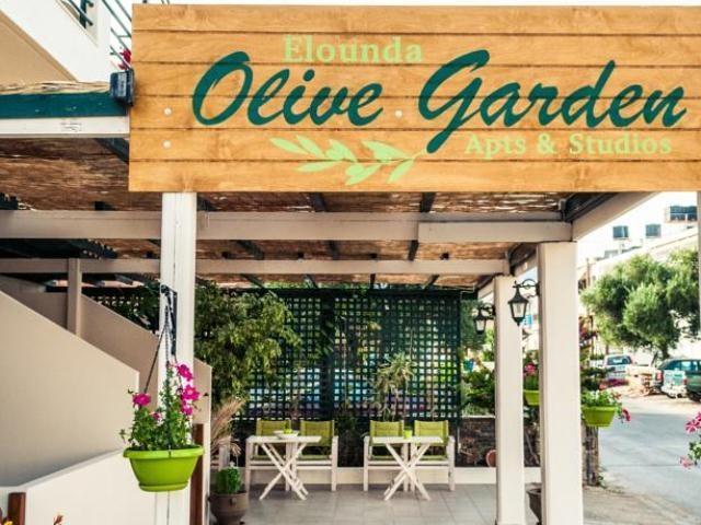 Elounda Olive Garden Apts & Studios מראה חיצוני תמונה