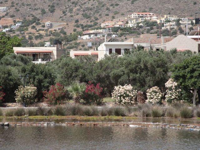 Elounda Olive Garden Apts & Studios מראה חיצוני תמונה