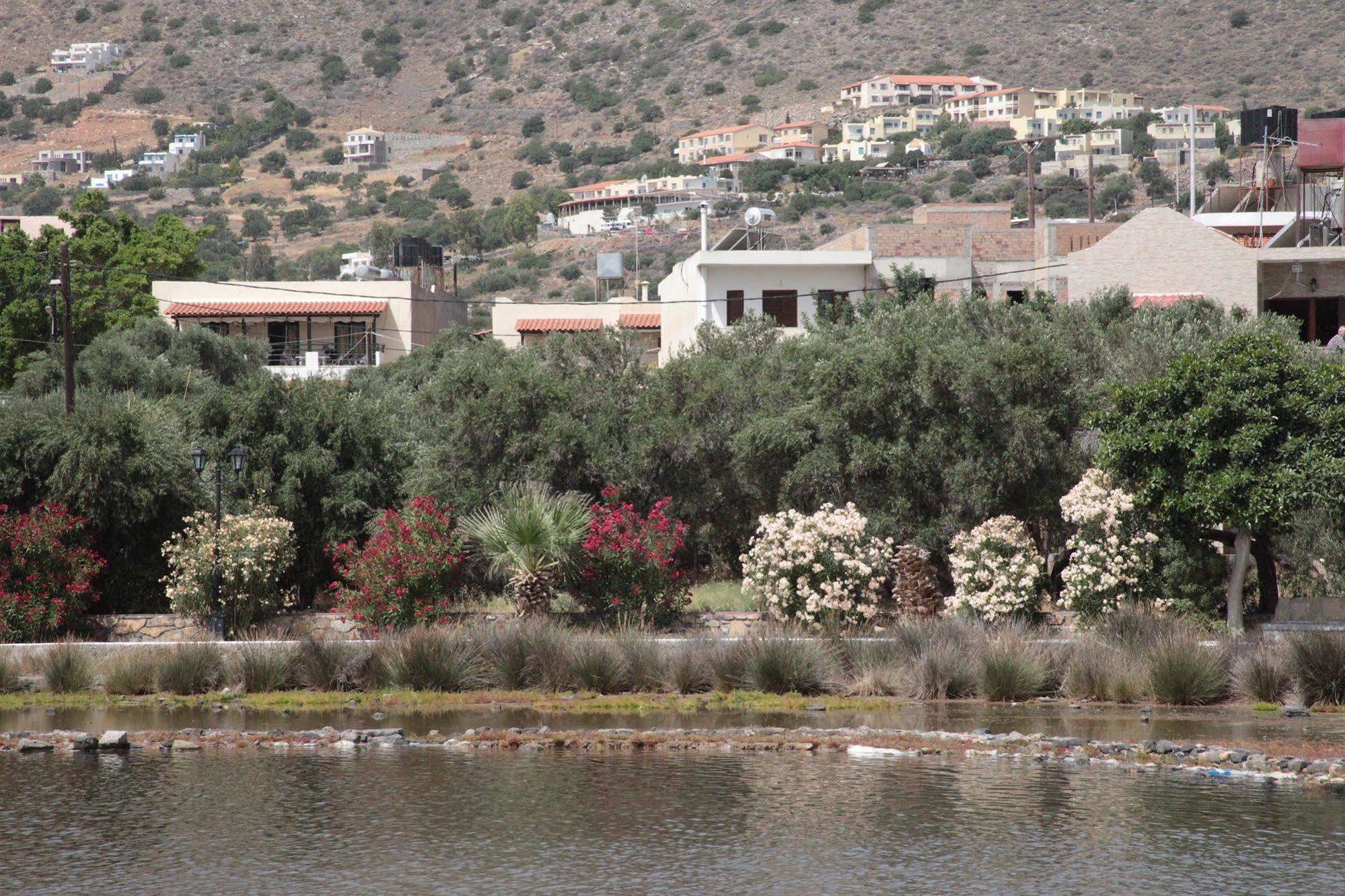 Elounda Olive Garden Apts & Studios מראה חיצוני תמונה