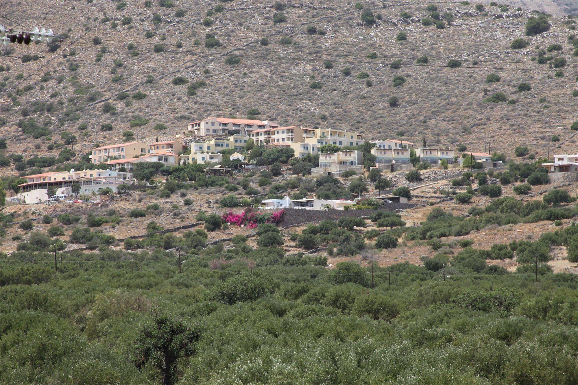 Elounda Olive Garden Apts & Studios מראה חיצוני תמונה